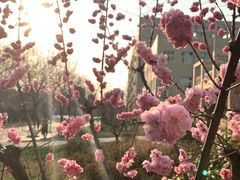 -陕西师范大学(雁塔校区)