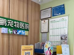 -瑞鹏宠物医院·夜间急症·心超·猫科(祖庙分店)