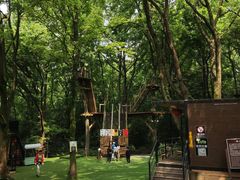 -WeLope紫金山探险公园