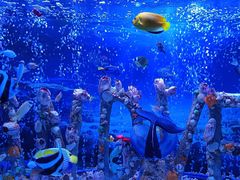 -太平洋海底世界