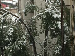 -华联影城(蒙城路店)