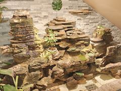 -会宾园·云山宴中餐