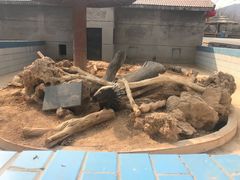 -石家庄市动物园