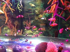 -沈阳海洋探索中心