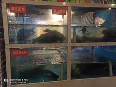 -巴土人家恩施菜馆(古德寺店)