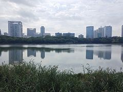 -南宁南湖公园