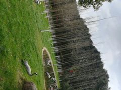 -艾溪湖湿地公园