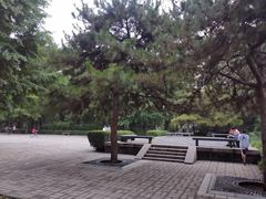 -玲珑塔公园
