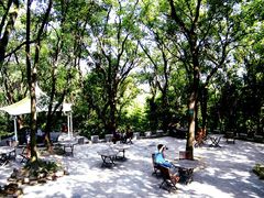 -上海佘山国家森林公园西佘山园