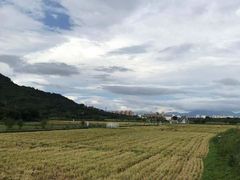 -艾米稻香小镇