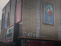 -盒马鲜生(大成店)