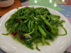 炒水性杨花-泸沽肴(泸沽湖大洛水村农村信用社旁店)
