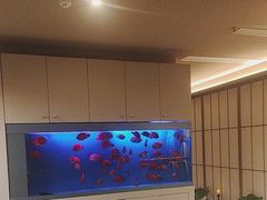 -宫七SPA·高端Massage(浦东大道店)