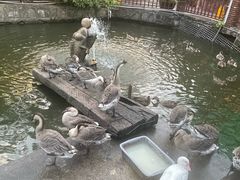 -香山小厨(南联路店)