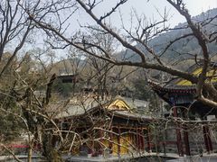 -华清宫景区