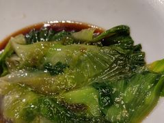 白灼罗马生菜-惠丰堂饭庄·烤鸭·京味菜(翠微路店)