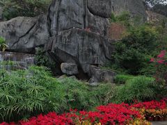 -金鸡山公园