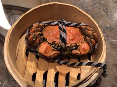 -龙之梦万丽酒店青餐厅