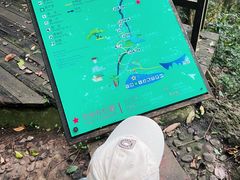 -七仙岭温泉国家森林公园