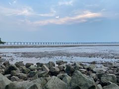 -宝安西湾红树林湿地公园