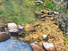 -湖洞水自然风景区