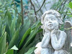 -Jo's Garden