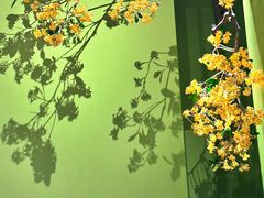 -金链花·泰国餐厅(国贸店)