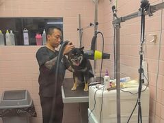 -FAELING PETS美天灵宠物(富力广场店)