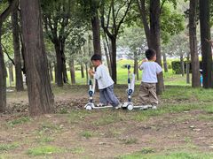 -洨河生态公园