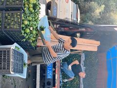 -徐州雨润农副产品全球采购中心