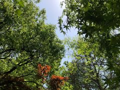 -上海滨江森林公园