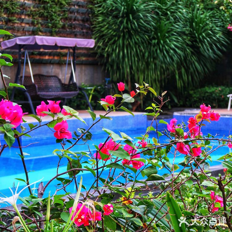 三亚民宿🏨人均100💰入住绝美独栋海景别墅👀辣妹冲鸭