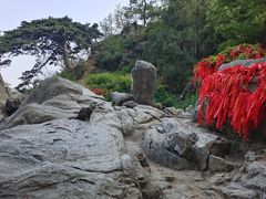 -泰山风景名胜区