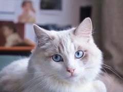 -大玩家·play1家庭娱乐中心(石狮世茂店)