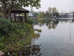 -成飞公园