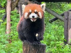 -宁波野生动物园