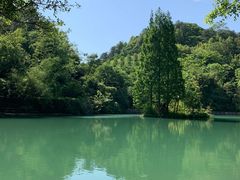 -桂林古东瀑布景区