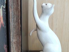 -飞行喵MR PILOT|猫舍·猫咖(静安大融城店)