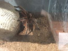 -山东嘉汇文化用品有限公司张店凤凰国际分公司(新村西路店)