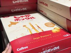 -中部国际机场