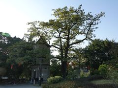 景点-大旗头古村