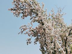 -海棠花溪(元大都城垣遗址公园)