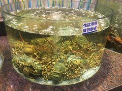 -新海利海鲜城·41年珠海老字号(夏湾店)
