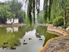 -团结湖公园