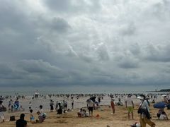 -日照海滨国家森林公园