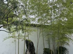 -上海醉白池公园