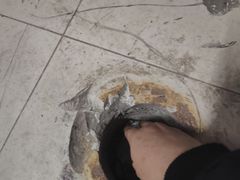 -物美大卖场(玉蜓桥店)