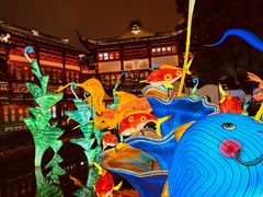 -绿波廊七号(豫园新路店)