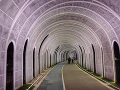 -渤公岛生态公园