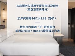 -新加坡乌节希尔顿酒店 (SG Clean)